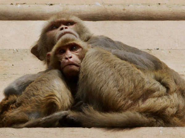 1 अगस्त से 31 अगस्त