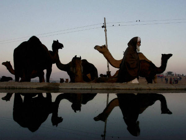1 मार्च से 31 मार्च