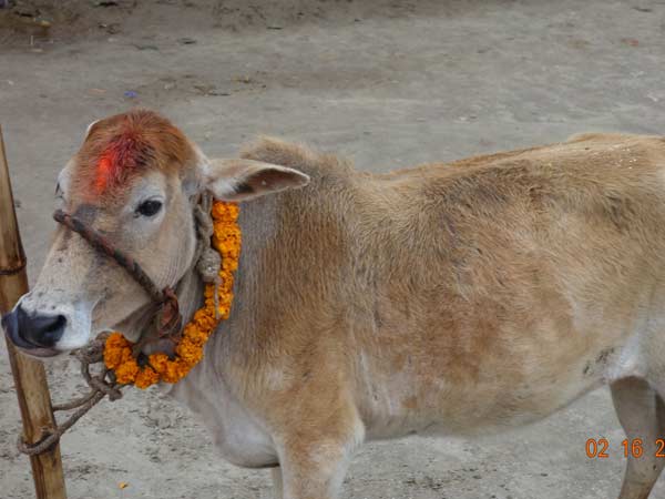 अंतिम चरण पर मेला