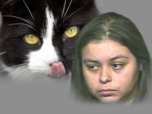 American woman sex with cat American woman sex with cat