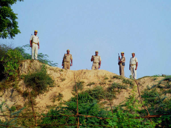Gold hunt Gold hunt
