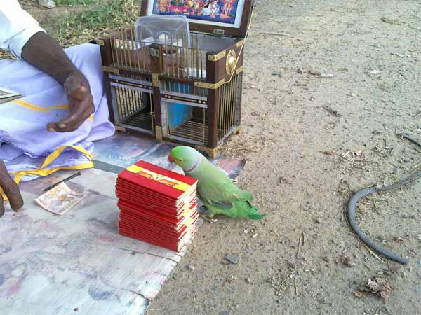 चौराहों पर आपके भविष्य ज्ञाता