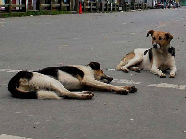 पिछले साल लगा था जुर्माना अभी तक नहीं की भरपाई