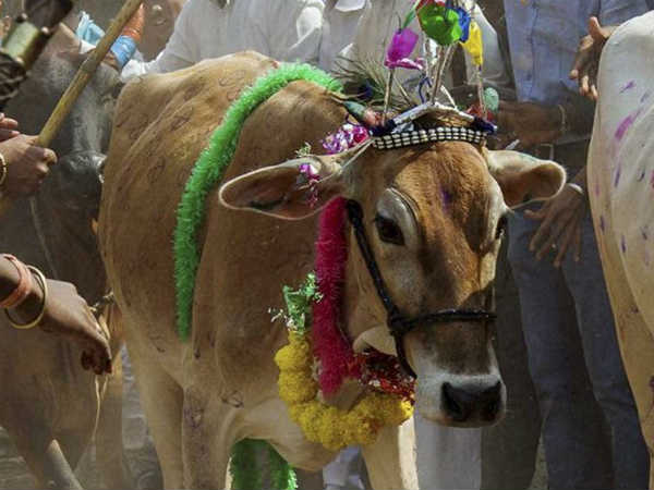 जारी किए अहम निर्देश