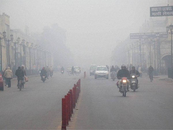 Fog Fog