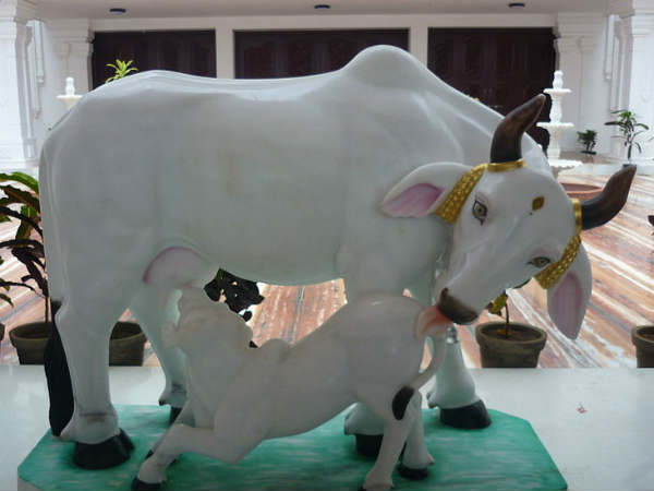 कृषि मंत्री ओमप्रकाश धनखड़ ने यह घोषणा की थी