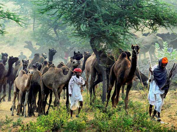 ढोल-नगाड़ों के साथ लोकनृत्य