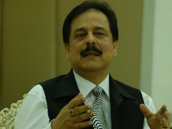 Sahara chief Sahara chief