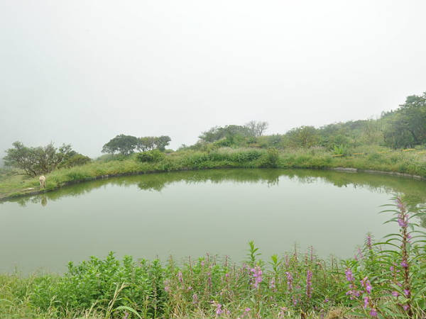 Pond Pond