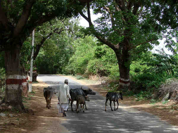 village of temple village of temple