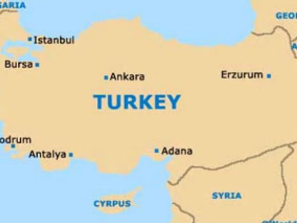 turkey turkey