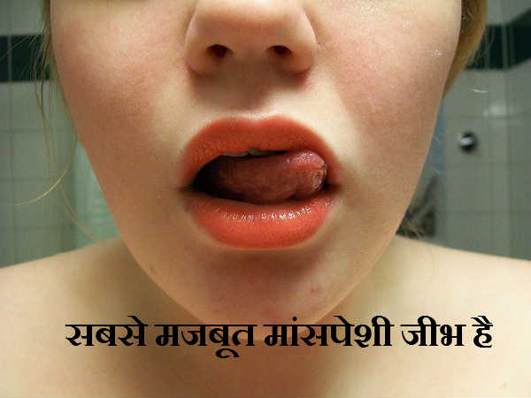 सबसे मजबूत मांसपेशी जीभ है