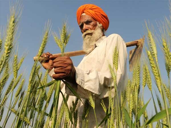 agriculture-india agriculture-india