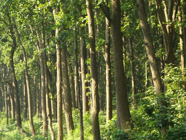बारिश के लिए टोटका