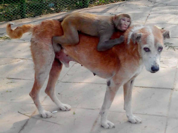 हम साथ साथ हैं
