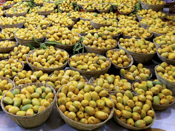 mango mango