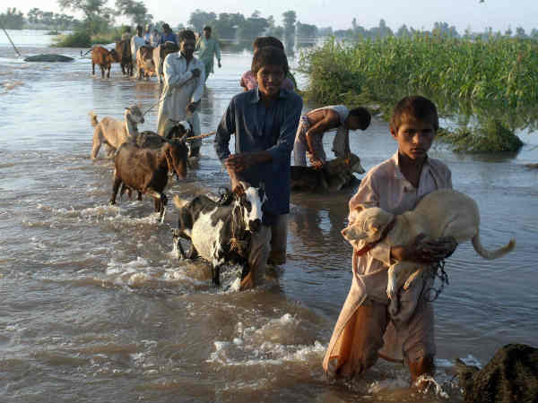 अधिकारियों को डर