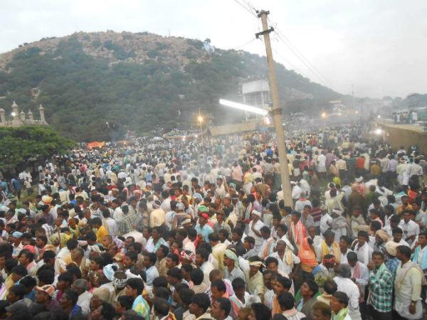 festival festival