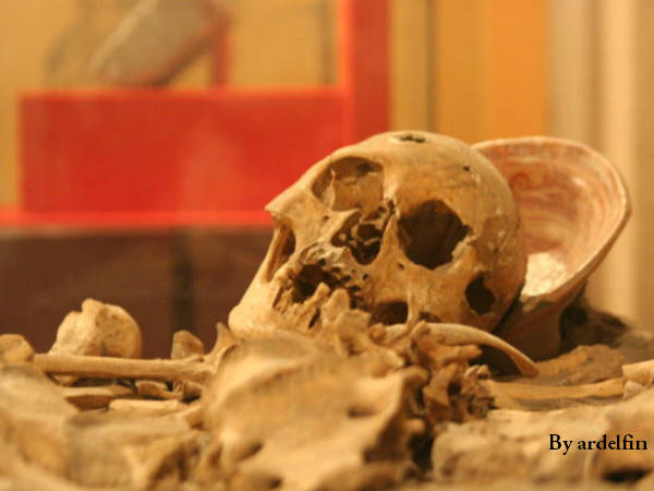Skeleton Skeleton