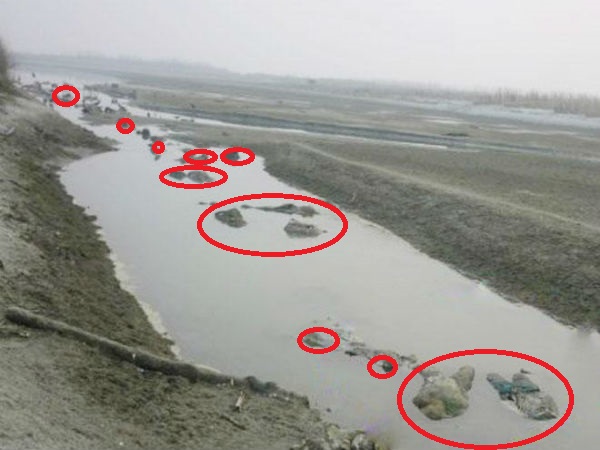 Are all 108 floating bodies in Unnao's Ganga females? Are all 108 floating bodies in Unnao's Ganga females?