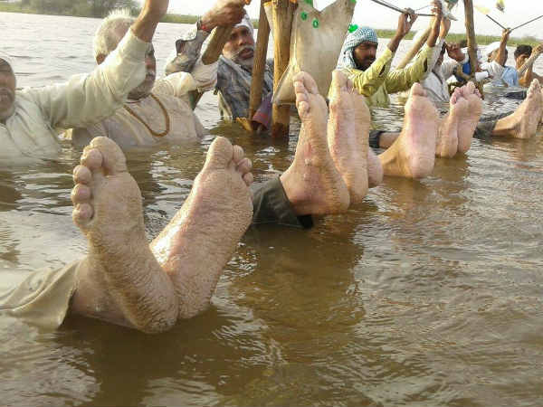 Madhya Pradesh farmers stand in water for the 17th day protesting delay in relief Madhya Pradesh farmers stand in water for the 17th day protesting delay in relief