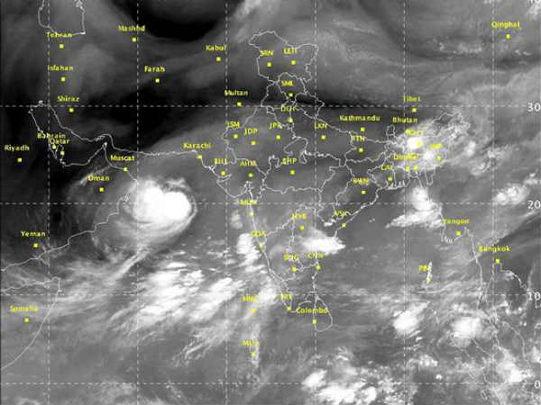 कल्पना खींच रही है अशोबा की तस्वीरें