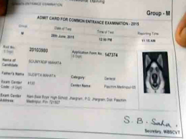 West Bengal: Dog’s photo on ITI entrance admit card West Bengal: Dog’s photo on ITI entrance admit card