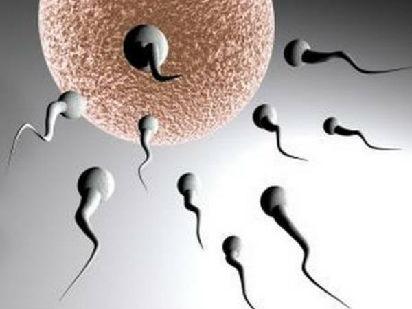 Twins born of sperm frozen 26 years ago Twins born of sperm frozen 26 years ago