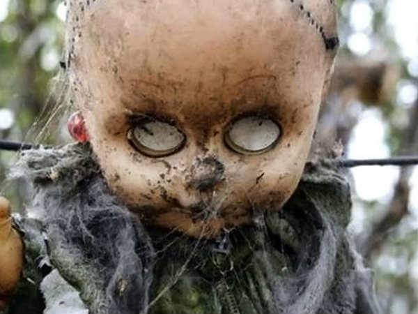 ध्यान से देखें इस गुड़िया की आंखों में