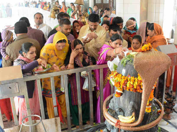 पीपल की लकड़ी के शिव लिंग