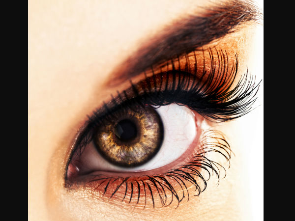 Fish Eyes May Prove to Be a Potential Cure for Blindness Fish Eyes May Prove to Be a Potential Cure for Blindness