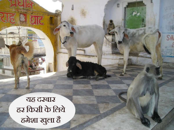 यह दरबार सबकु लिये है