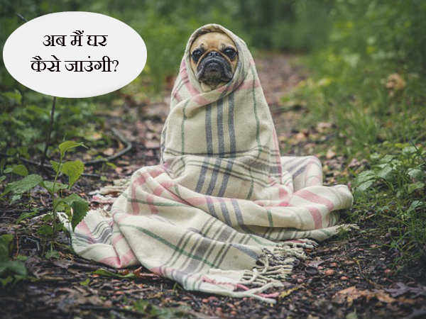 ये बेचारी मुन्नी की तरह खो गई है