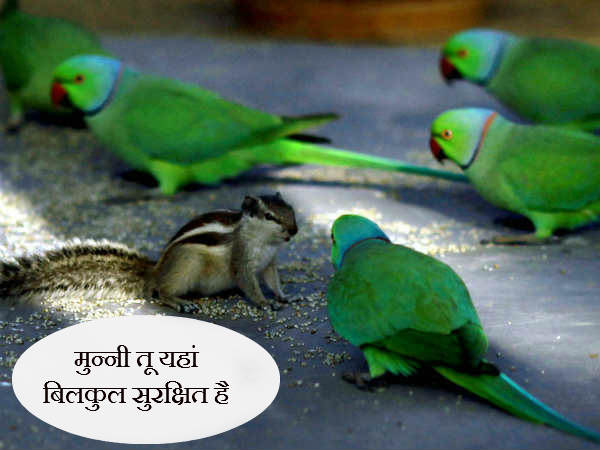 मुन्नी परेशान मत हो तुम यहां सुरक्षित हो