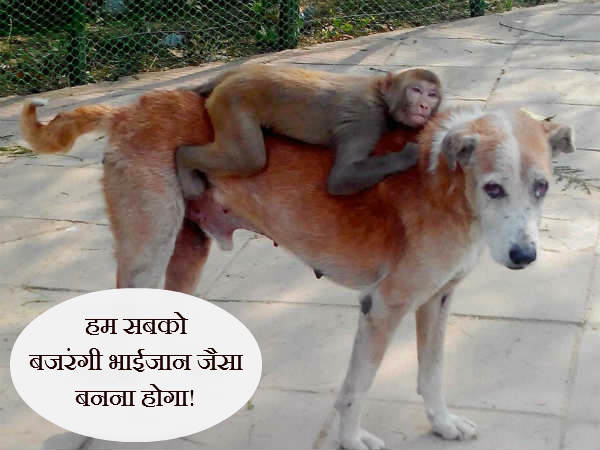 मैं भी बजरंगी भाईजान बनूंगा