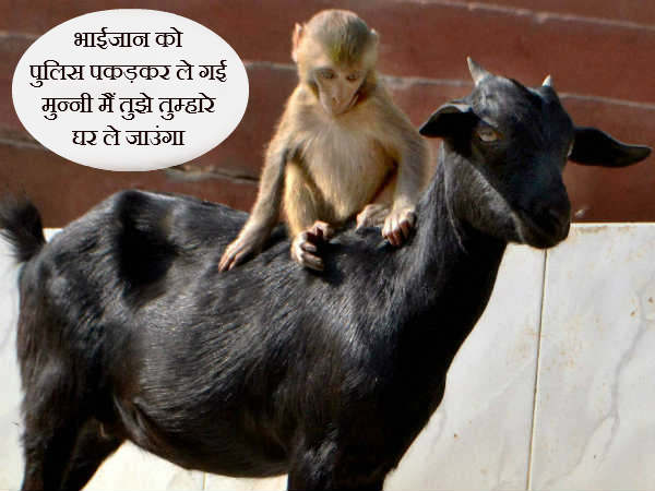 यहां भाईजान नहीं है तो क्या, मैं तो हूं