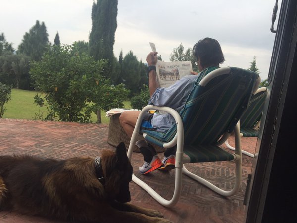 dog-imran-khan-reham.jpeg dog-imran-khan-reham.jpeg