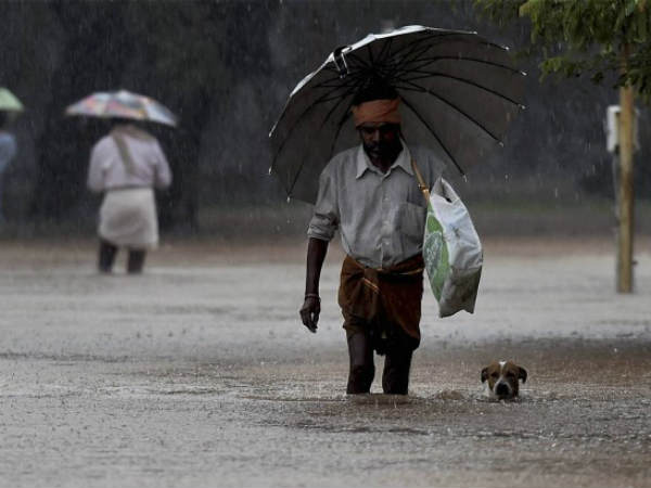 Chennai Rain Pics: हर तरफ कहर