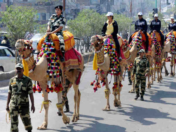 ऊंटों का दस्ता