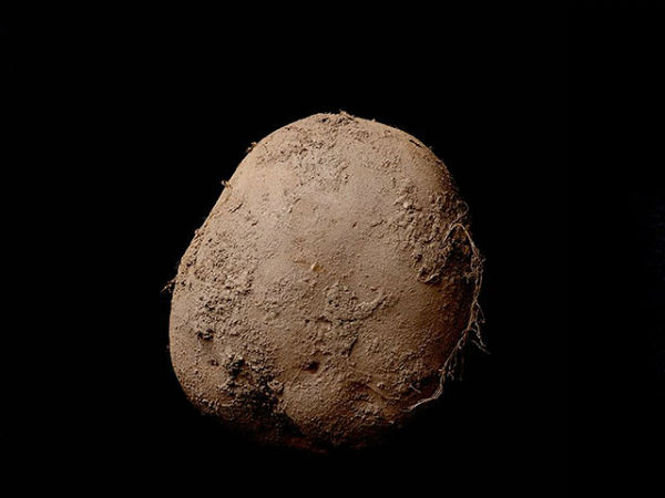 potato potato