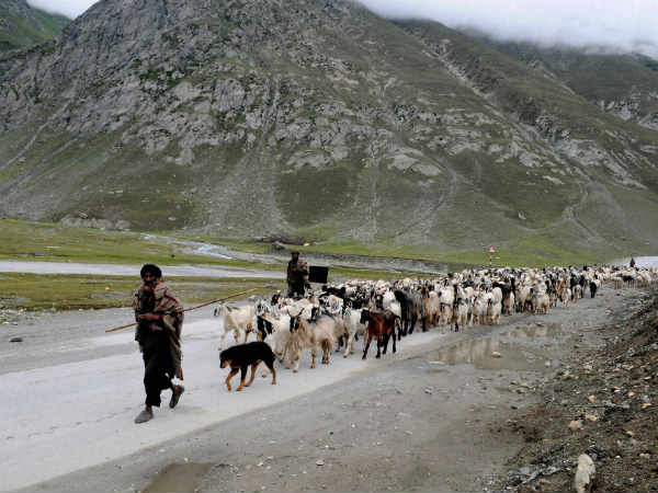 %u091C%u093C%u094B%u091C%u093F%u0932%u093E %u092A%u093E%u0938 