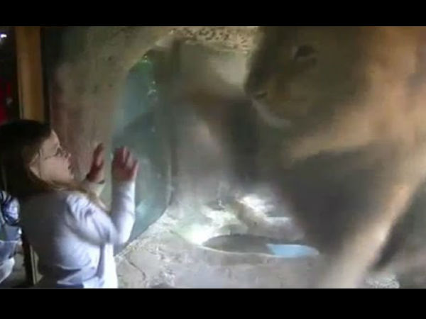 viral video viral video
