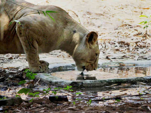 उत्तर भारत में गर्मी की "बेशर्मी", लोगों का हाल बेहाल