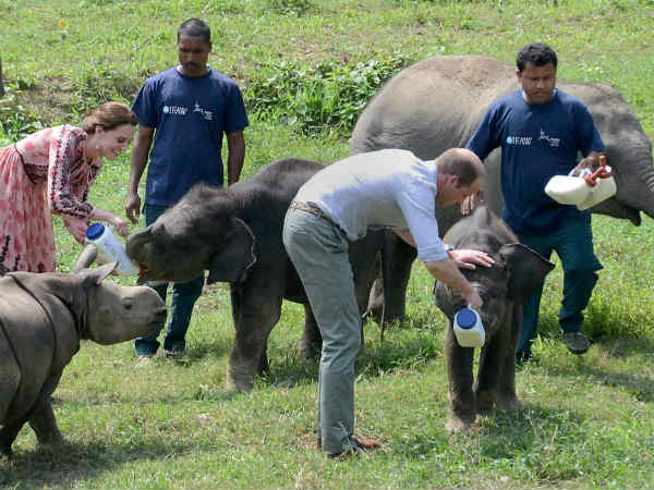 Prince William and Kate Middleton in Assam 