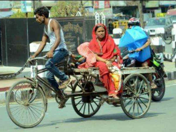 इंसानों की तरह गर्मी से परेशान बेजुबान जानवर भी..