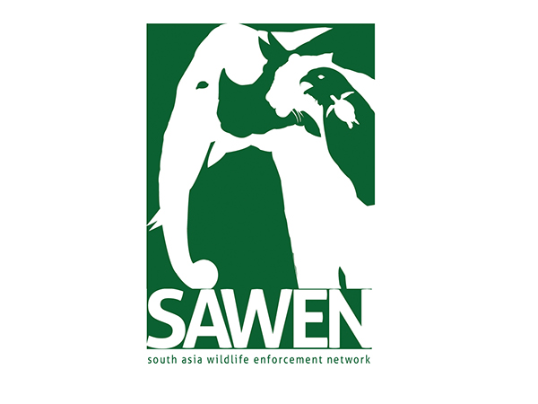 sawen sawen