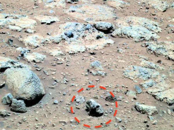 Is this proof of alien life? UFO-hunter claims to have found human-like SKULLS on Mars Is this proof of alien life? UFO-hunter claims to have found human-like SKULLS on Mars