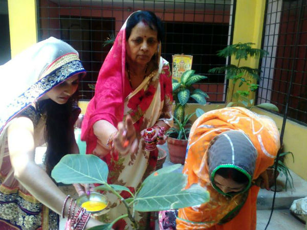 आस्था-प्रेम और विश्वास के साथ संपन्न हुई वट-सावित्री पूजा, तस्वीरें..