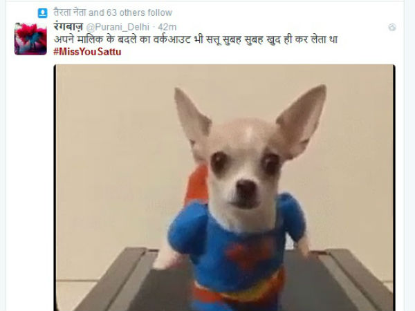 डैशिंग सत्तू