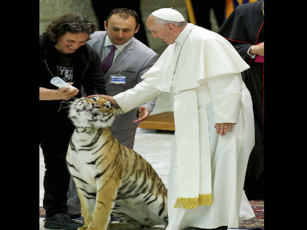 pope francis pope francis